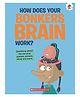 The Curious Kid's Guide To The Human Body: How Does Your Bonkers Brain Work? Reading & Learning Books John Farndon - English