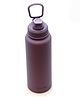 Rushabh Novelty Insulated , BPA Free, leakproof, hot and cold, bottle for school, college, office and travelling Water Bottle - 9290-Purple  -1000ml