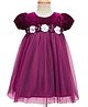 Babyhug Mesh Woven Half Puffed Sleeves Fit and Flare Party Dress With Glitter & Floral Applique - Wine