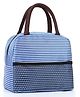 FunBlast Insulated Travel Lunch Carrying Bag with Mesh Pocket  Blue