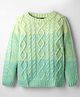 Pine Kids Knit Full Sleeves Pullover Sweater with Cable Knit & Ombre Design - Light Green