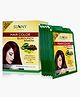 Sunny Herbals Hair Color Burgandy 12 X 20 g