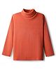 Babyhug Cotton Knit Full Sleeves Turtle Neck Winter T-Shirt - Rust Orange