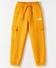 ADIDAS KIDS Cotton Knit Full Length Track Pants With Brand Logo Print - Yellow