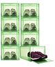 House of Quirk Shoe Organizer Shoe Storage Boxes Large Shoe Boxes with Magnetic Door Clear Stackable Plastic Shoe Containers Pack of 8 - Green