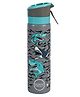Swen Insulated stainless steel shark theme mist bottle, blue and grey color - 540ml
