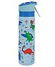 Swen Insulated stainless steel dinosaur theme mist bottle, blue color - 540ml