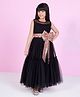Ministitch Net Woven Sleeveless Sequins Embellished Bow Applique Detailed Gown - Black