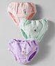 Zero Interlock Bloomers With Teddy & Floral Print Pack Of 3 - Purple Light Green & Pink