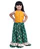 Twisha Woven Sleeveless Solid Lehenga Choli Set - Yellow & Green