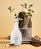 Velura Baby Moisturising Lotion 200 ML-Gentle Glow| 24+ Hour Nourishing Cream