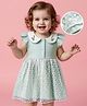 Babyoye 100% Cotton Woven Frill Sleeves Solid Dyed Party Dress With Floral & Cherry Embroidery - Light Green