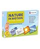 Hungry Brain Nature In Motion 24 Flash Cards - Multicolor