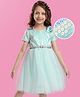 Hola Bonita Knit Half Sleeves Glitter Mesh Party Dress With Sequin Detailing & Floral Applique - Light Blue