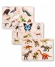 Poptop Kids Colorful Wooden Puzzle Set Featuring 3D Bird,Insects and Dinosour  Board for Kids | Montessori Gift Bird,Insects and Dinosour