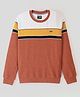 Noddy Knitted Full Sleeves Colour Blocked Tee - Rust
