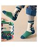 Bembika Cotton Pack Of 5 Animal Designed Colour Blocked Socks - Multi Colour