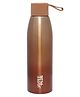 Jaypee Plus Victor Vacuum Insulated Stainless Steel Hot & Cold Water Bottle-BIS Certified, Rust & Leak Proof, Office Bottle, 550ml Brown