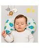 AEREX 100% Cotton Cover Rai Mustard Seed Head Shaping Pillow for Newborn Baby | Rai Pillow for Baby Neck Support Takiya | Baby-Round Head Shaping Baby Pillow | Prevents Flat Head | 0-12Months (Green)