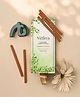 Nytarra Naturals Eucalyptus Purity Dhoop Sticks - 20 pcs | Refreshing & Cleansing | Charcoal-Free with Holder