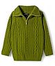 Pine Kids Knit Full Sleeves Pullover Sweater with Cable Knit Design - Green