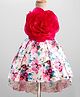 Bluebell Satin Woven Sleeveless Dress With Floral Print & Applique - Red