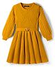 Pine Kids Knit Full Sleeves Pullover Woollen Dress with Belt & Cable Knit Design - Mustard