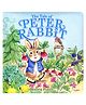 The Tale of Peter Rabbit Story Book- English