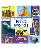 Look and Learn First Words Reading & Learning Books  - English