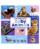 Look and Learn Baby Animals  Reading & Learning Books - English