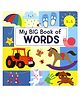 My Big Book of Words Reading & Learning Books- English
