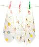 VOIDROP Highly Absorbent Bamboo Muslin Soft Touch Baby Washcloth Set 3 Pack (Multi Printed)