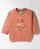 Zero Looper Knit Raglan Full Sleeves Animal Printed Sweatshirt - Rust Orange