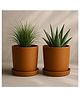 THE HANDICRAFTIAN Autumn Planter Small 4 Inch | Set of 2