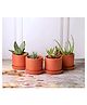 THE HANDICRAFTIAN  Autumn Planter Small 4 Inch | Set of 4