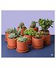 The Handicraftian  Autumn Planter Small 4 Inch | Set of 8