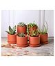 The Handicraftian Autumn Planter Medium 6 Inch | Set of 6