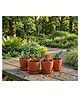 The Handicraftian Hexane Planter Small 4.5 Inch | Set of 4