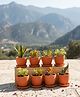 The Handicraftian Hexane Planter Small 4.5 Inch | Set of 8