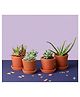 The Handicraftian One Planter Small 3.5 Inch | Set of 4