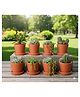 The Handicraftian Cone Planter Small 3.5 Inch | Set of 8