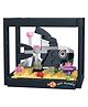 ThinkerPlace 8-in-1 Dream Ocean Fish Tank Flagtail (92 Pieces) | Learn About Marine Life | Building Block Set for Kids Age 7+ | STEM Educational Toy | Build, Collect & Create a Big Fish Tank