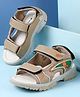 Cute Walk by Babyhug Velcro Closure Sandals - Brown