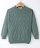 Noddy Cotton Lycra Knit Full Sleeves Geometric Designed Sweater - Pista
