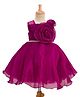 Bluebell Tissue Woven Sleeveless Party Frock With Floral Applique - Wine