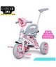Fun Ride Tricycle Kids Musical Plug and Play Parental Control Handle Sipper,Seat Belt,Eva Tyre Indoor and Outdoor  Up to 25 Kg-Pink