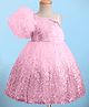 Bluebell Net Woven Sleeveless Party Frock With Floral Applique & Sequin Detailing - Pink