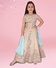 Cutecumber Satin Woven Sleeveless Floral Embroidered & Sequins Embellished Lehenga Choli With Dupatta Set - Beige