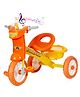 Dash Musical Baby Tricycle for Kids | Pedal Ride-On Trike with Music, Light & Storage Basket | Ideal for Boys & Girls