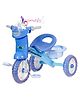 Dash Musical Baby Tricycle for Kids | Pedal Ride-On Trike with Music, Light & Storage Basket | Ideal for Boys & Girls